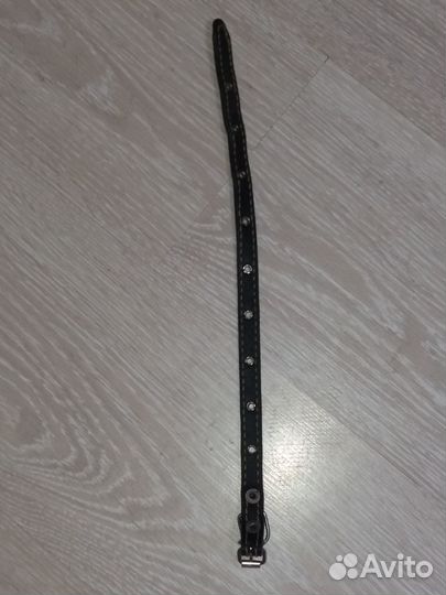 Ошейник для собак