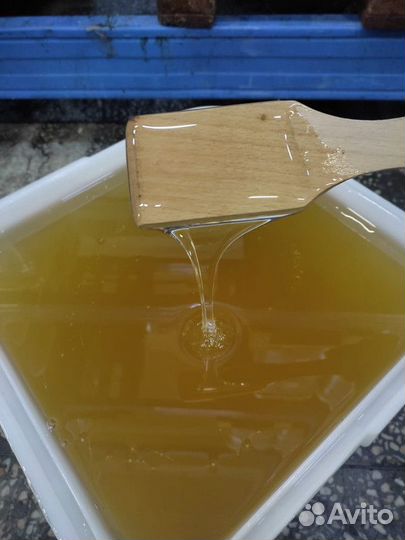 Эспарцетовый мёд Свежий Качка 2023 год