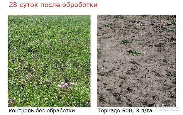 Средство от сорняков. Гербицид Торнадо 540 Avgust
