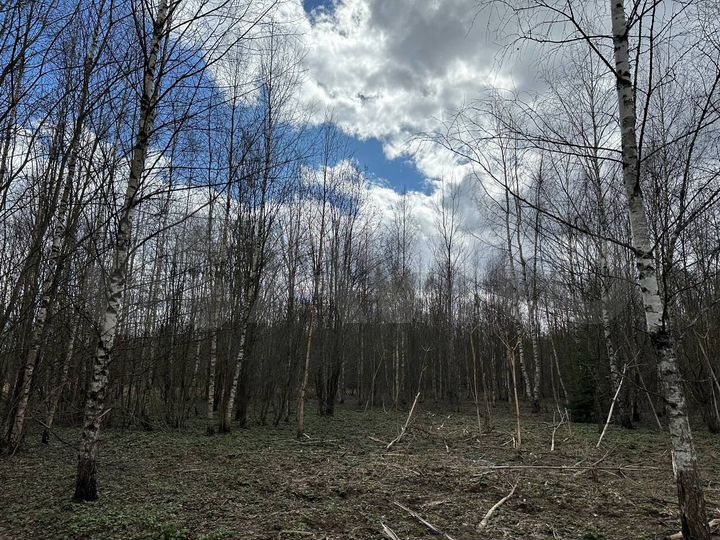 Участок 4 сот. (ИЖС)