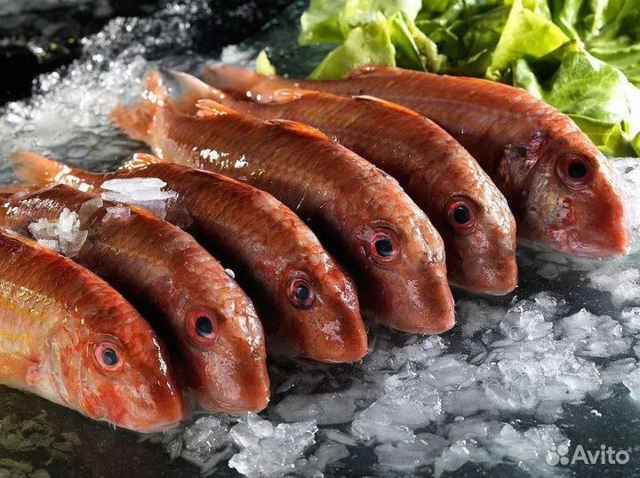 Продается готовый бизнес – рыбный магазин