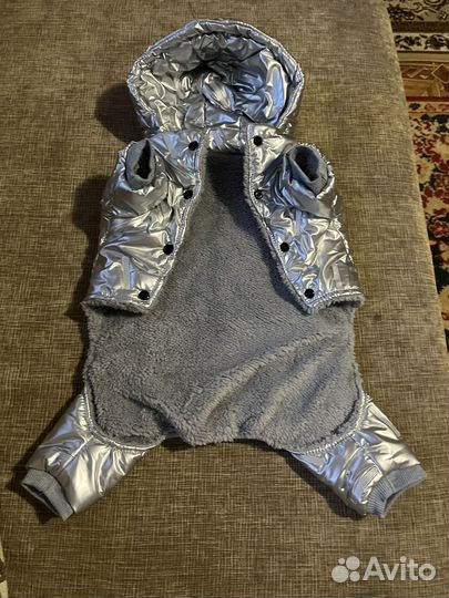 Одежда для собак