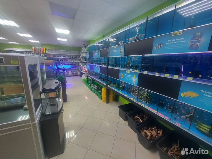 Зоомагазин Белая Акула