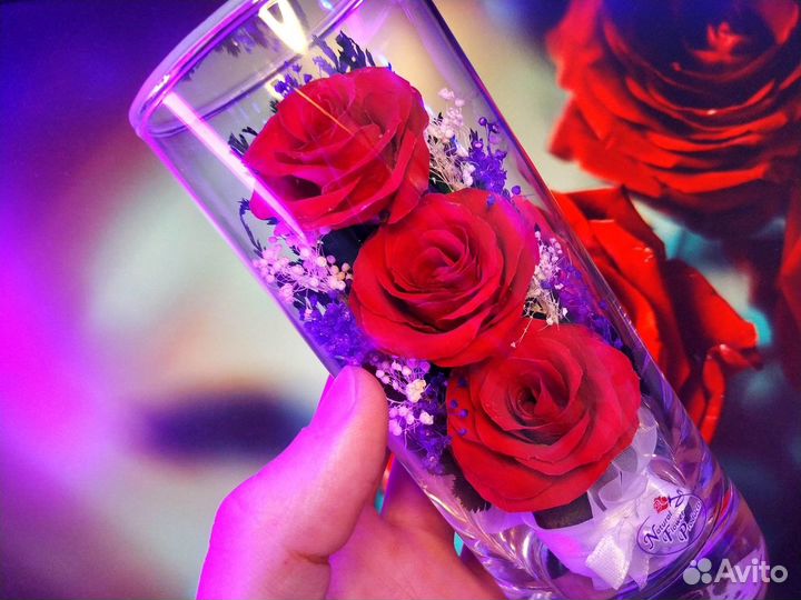 Живые розы в вакууме.Цветы в стекле