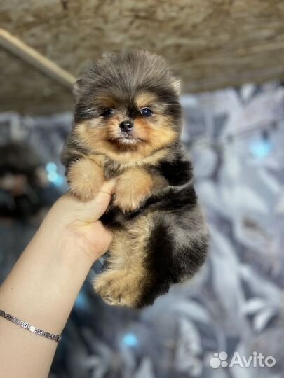 Мальчишечка