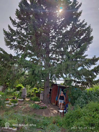 Дача 15 м² на участке 5,5 сот.