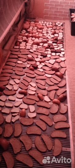 Сухари для животных