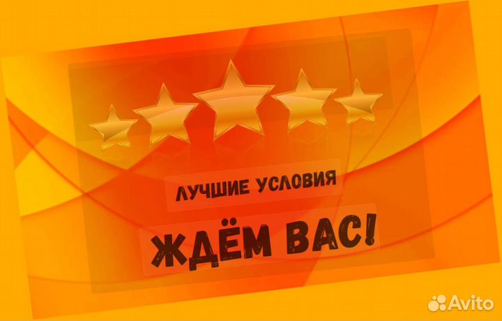 Упаковщик Еженедельные выплаты Без опыта