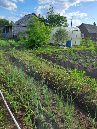 Участок 6 сот. (СНТ, ДНП)