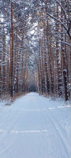 Участок 30 сот. (ИЖС)