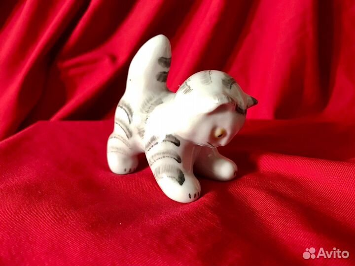 Котенок - вербилки