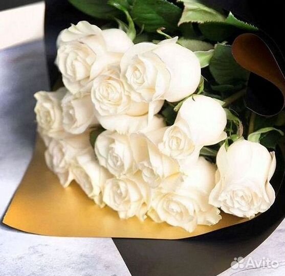 Высокие розы Доставка цветов