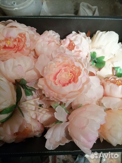 Декоративные цветы