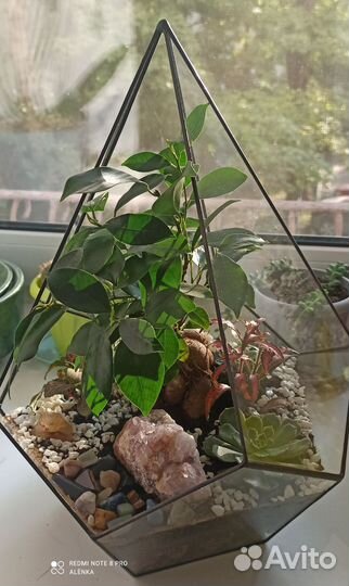 Флорариум бонсай с полудрагоценными камнями