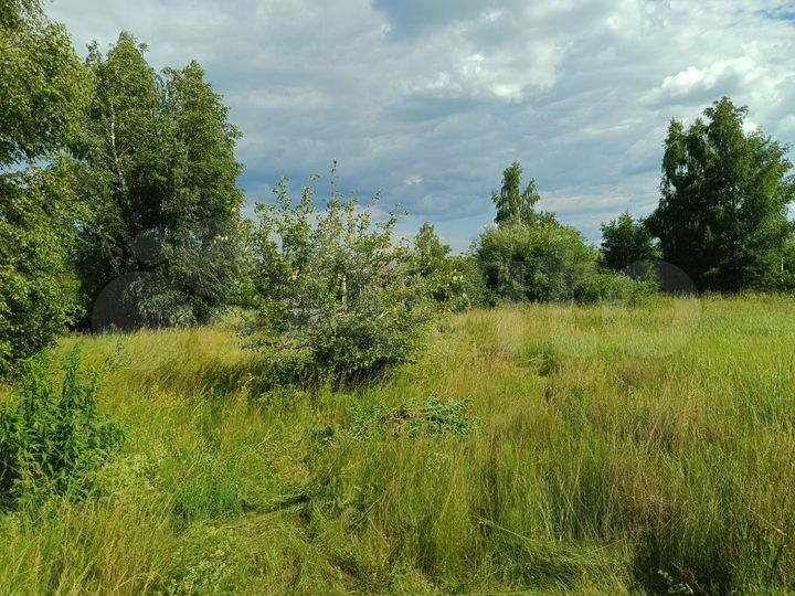 Участок 43 сот. (ИЖС)