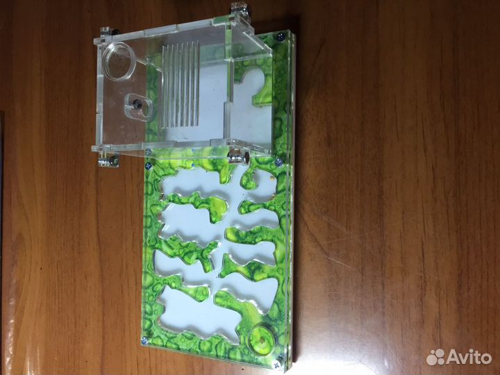 Муравьиная ферма без муравьев