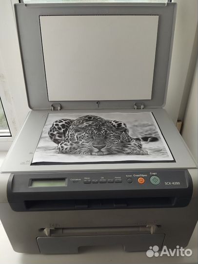 Принтер лазерный мфу