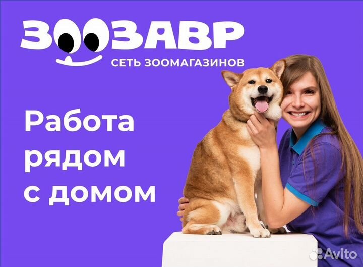 Продавец-кассир в зоозавр (ул. Верхняя Дуброва 26)