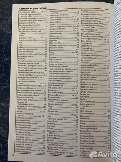 Всё о породах собак