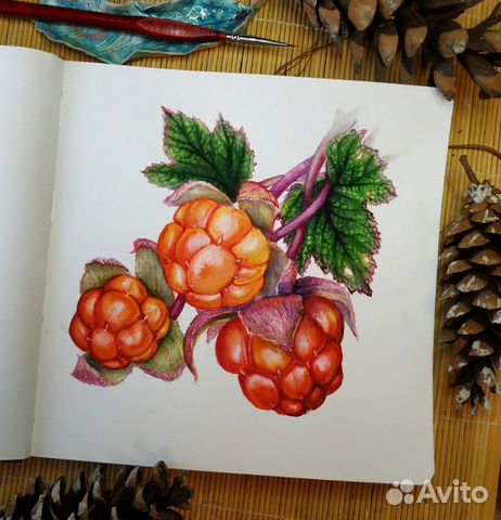 Обучение рисованию, уроки онлайн и в студии