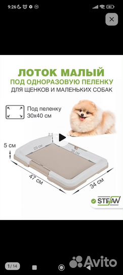 Туалет для собак