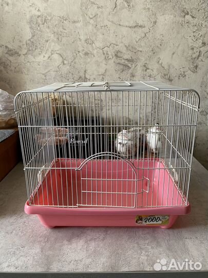 Клетка для грызунов