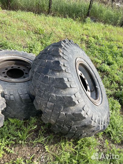 Грузовые шины 1200 500 508