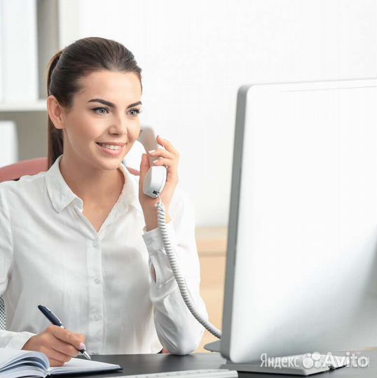 Торговый представитель(Автосалон)