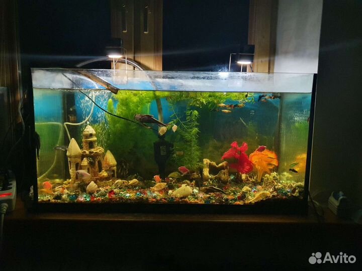 Аквариум