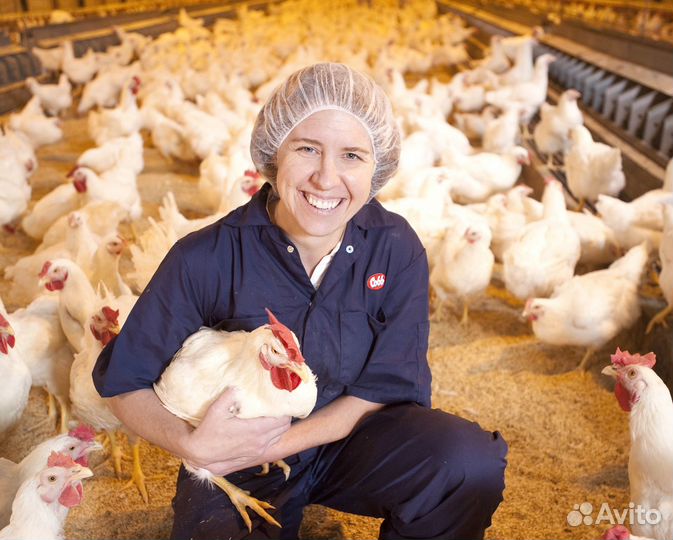 Подсобный рабочий