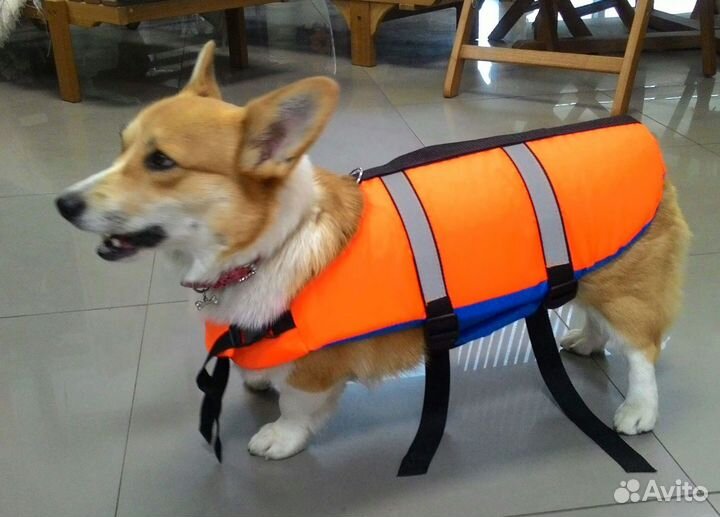 Спасательный жилет для собак
