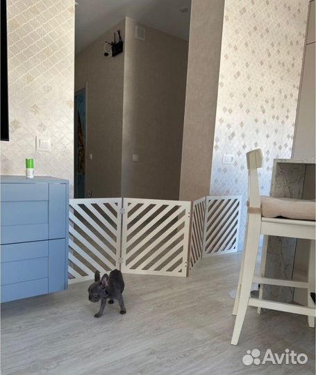 Ограждение перегородка