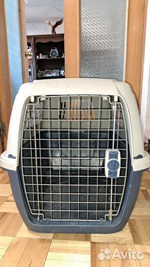 Переноска для собак в аренду