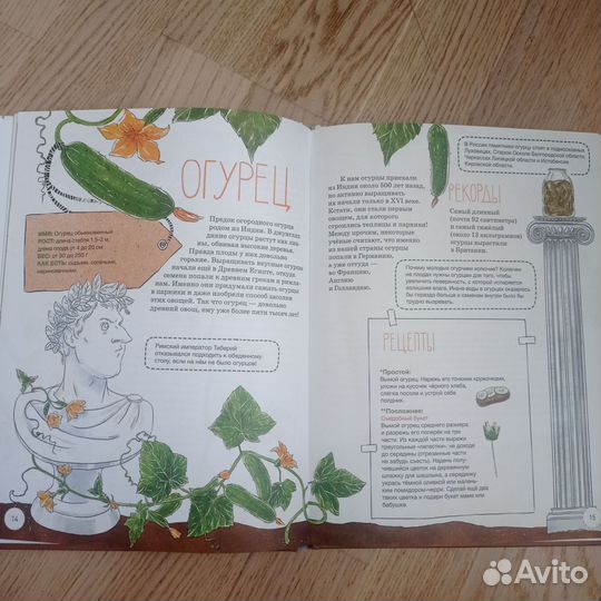 Книга Овощные истории