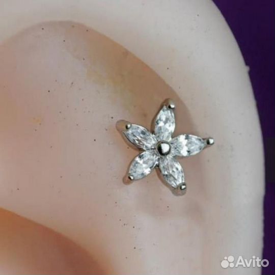 Серьги в хряшь (лабрет,козелок)