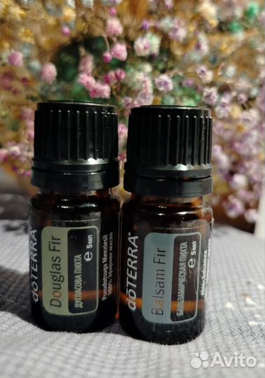 Дугласова и бальзамическая пихта Doterra (набор)
