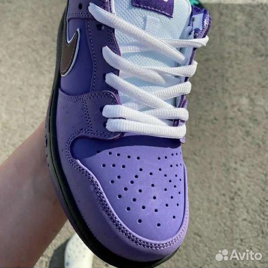 Кеды SB Dunk Low Pro OG QS Concepts/Purple Lobster