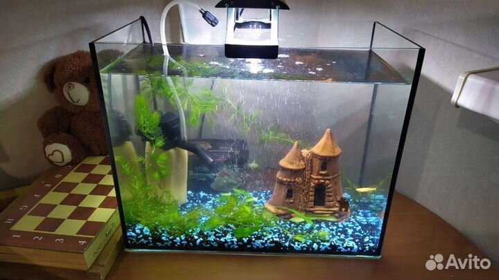 Аквариум. Продаю в связи с переездом