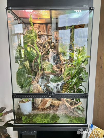 Террариум Палюдариум Hagen Exo-Terra 60x45x90