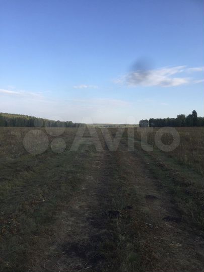 Участок 200 га (СНТ, ДНП)