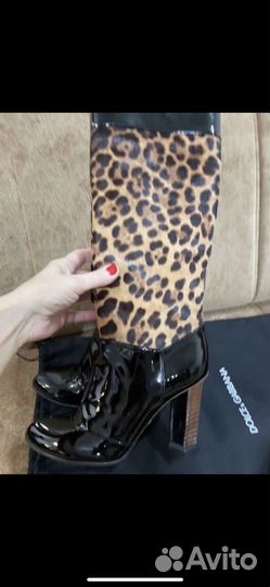 Сапоги осень весна женские