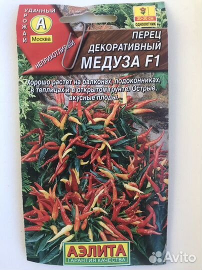 Рассада перца Медуза
