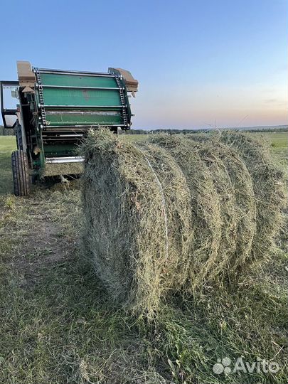 Сено в тюках