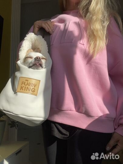 Cумка переноска для собак мелких пород