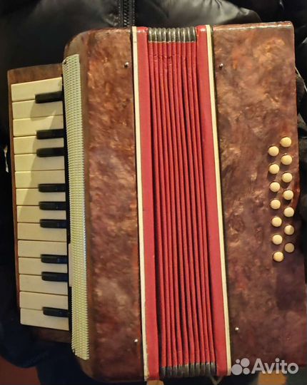 Аккордеон Малыш