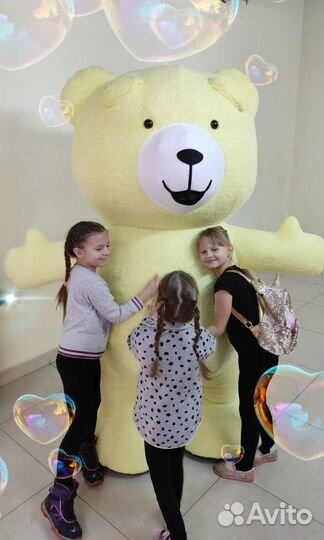 Поздравление от мишки Большой медведь аниматор