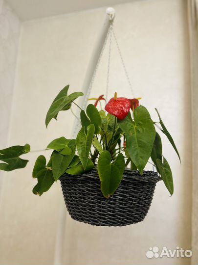 Набор кашпо из ротанга