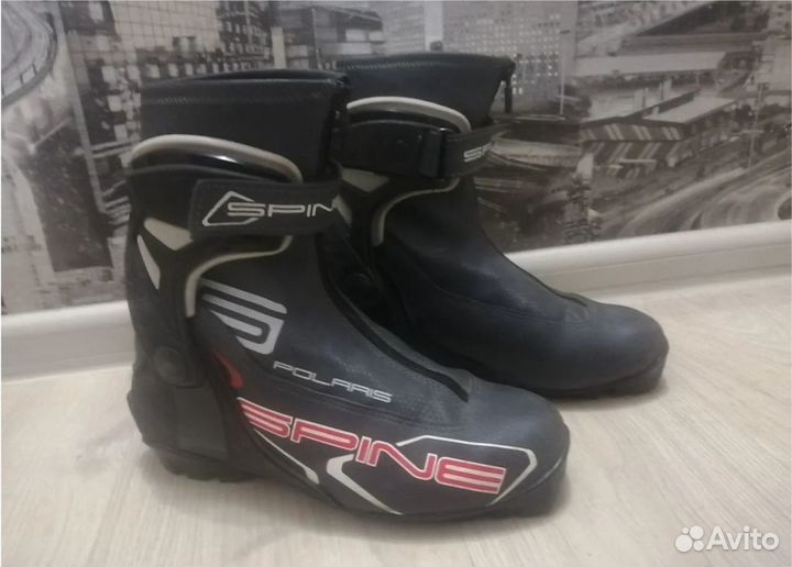 Лыжные ботинки spine polaris