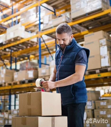 Можно в ночь.Берем всех.Кормим.Кладовщик