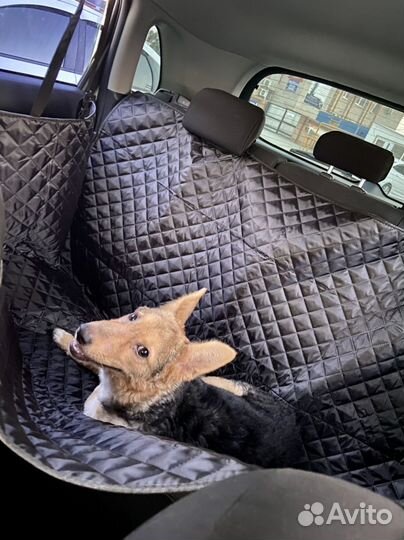 Автогамак для перевозки собак